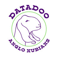 Datadoo