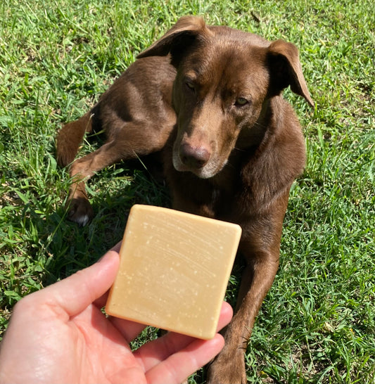Furfect goat milk pet soap